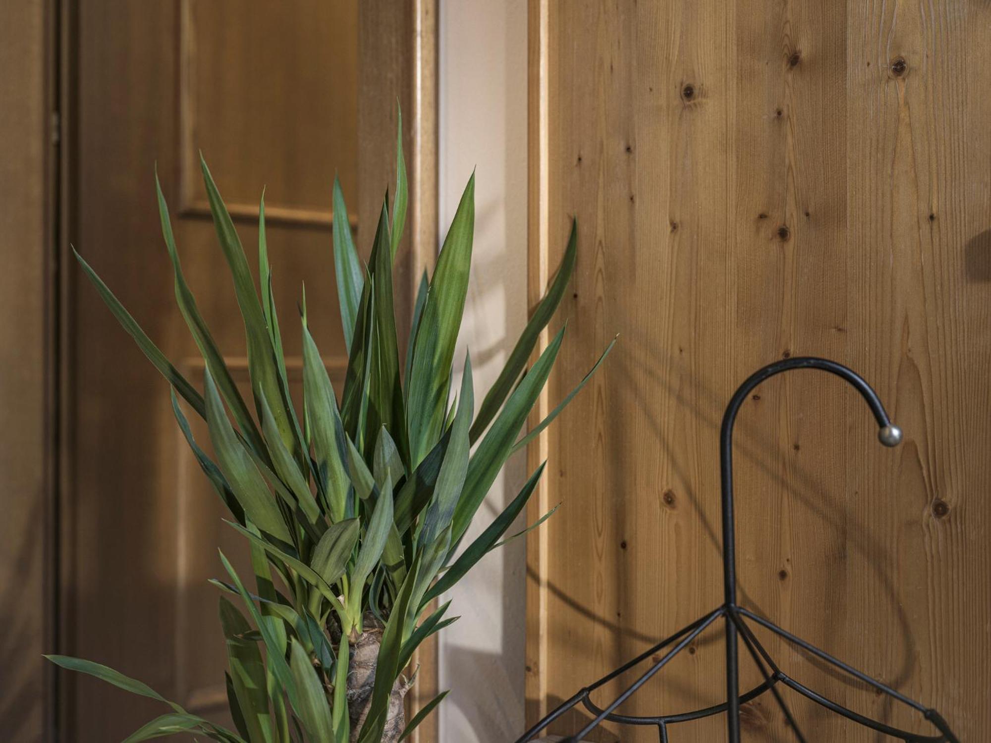 Appartement Geisler Finkenberg Esterno foto